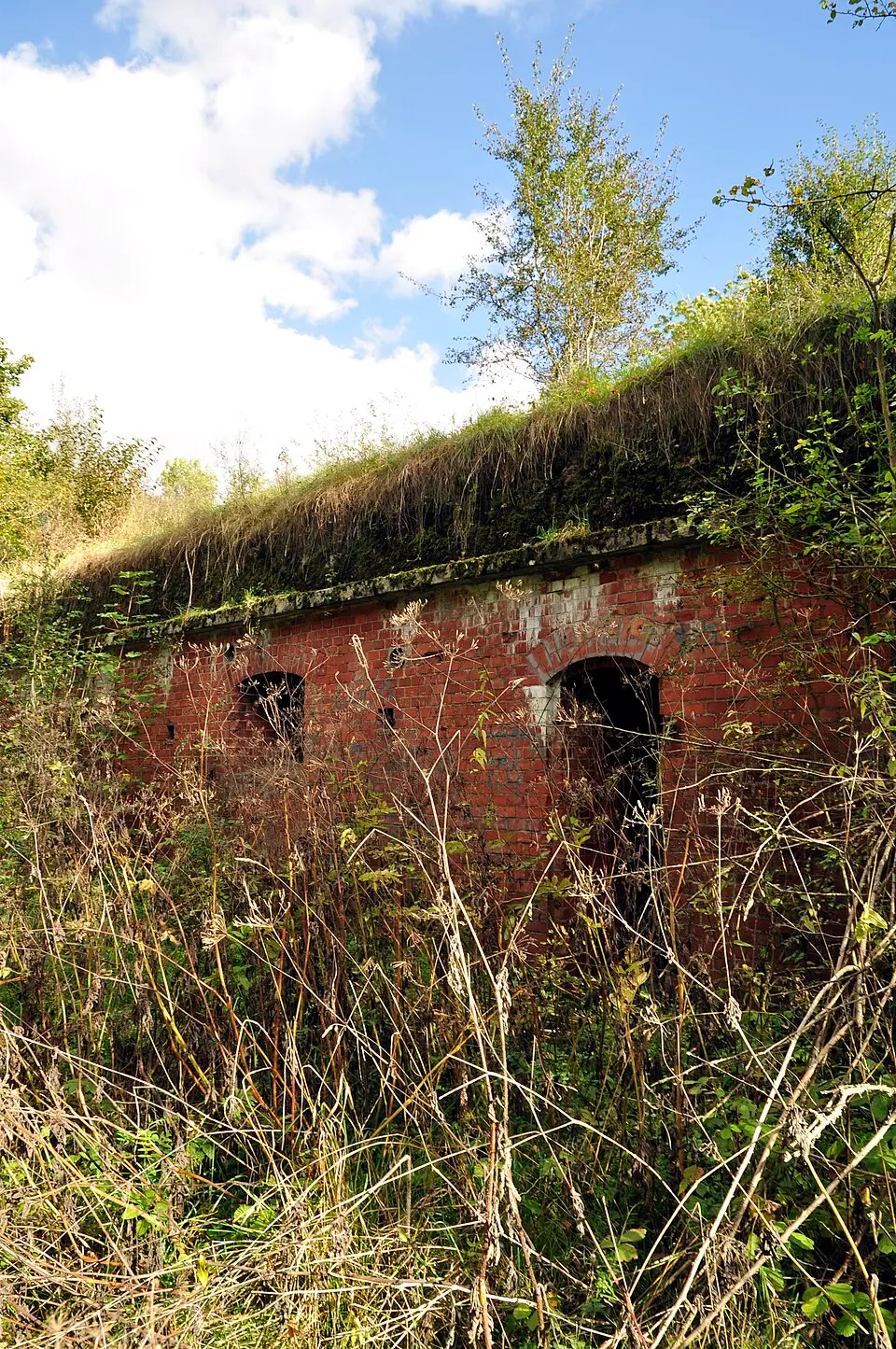 Fort VI