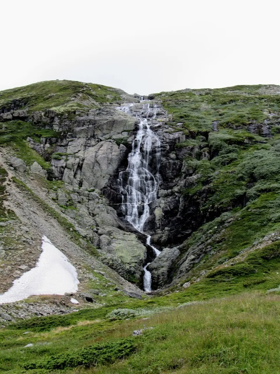 Fossen, Ål