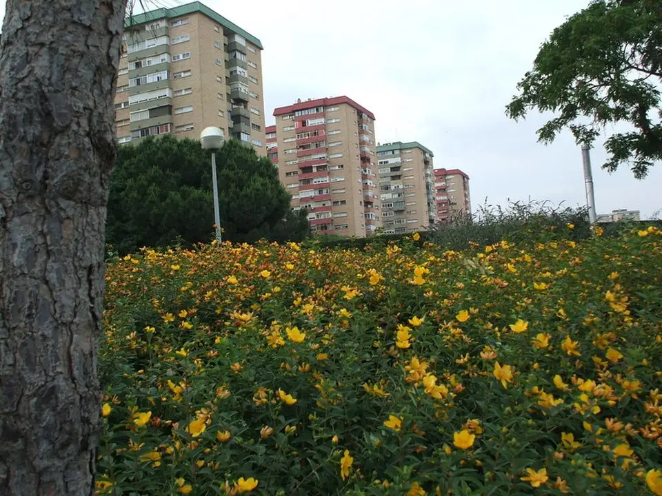 El Gornal