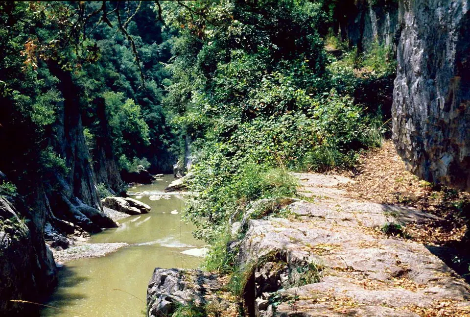 Salazar
