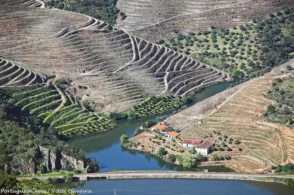 Região Demarcada do Douro (RDD)