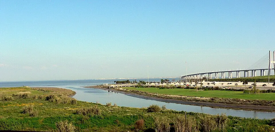 Parque Tejo