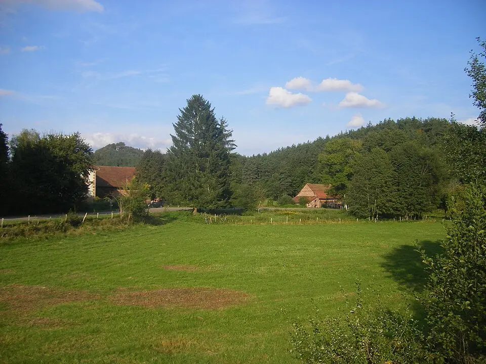 Obrázek: Szeder László · CC BY-SA 4.0 parc naturel régional des Vosges du Nord