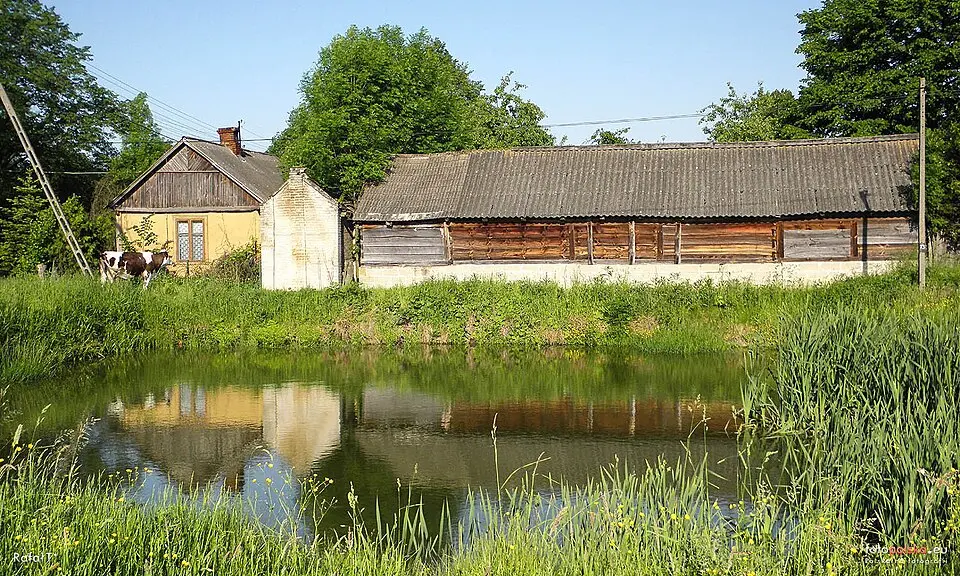 Władysławów