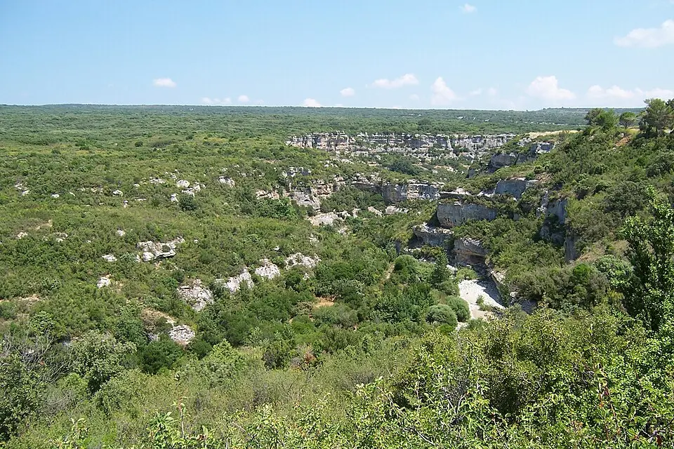 Image: Zewan · CC BY-SA 3.0 Minervois