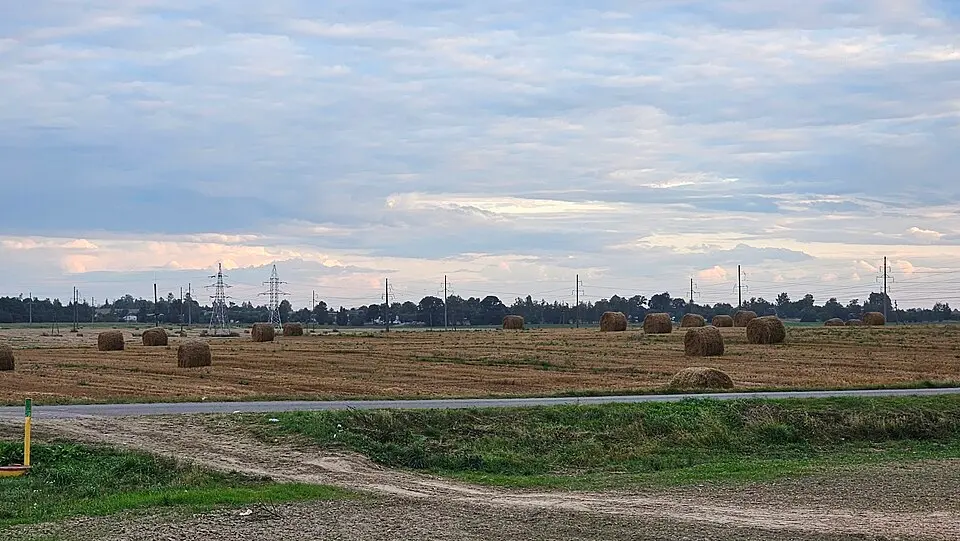 Ivanaŭskija Aharodniki