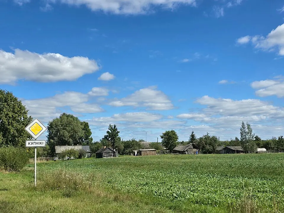 Купнікі