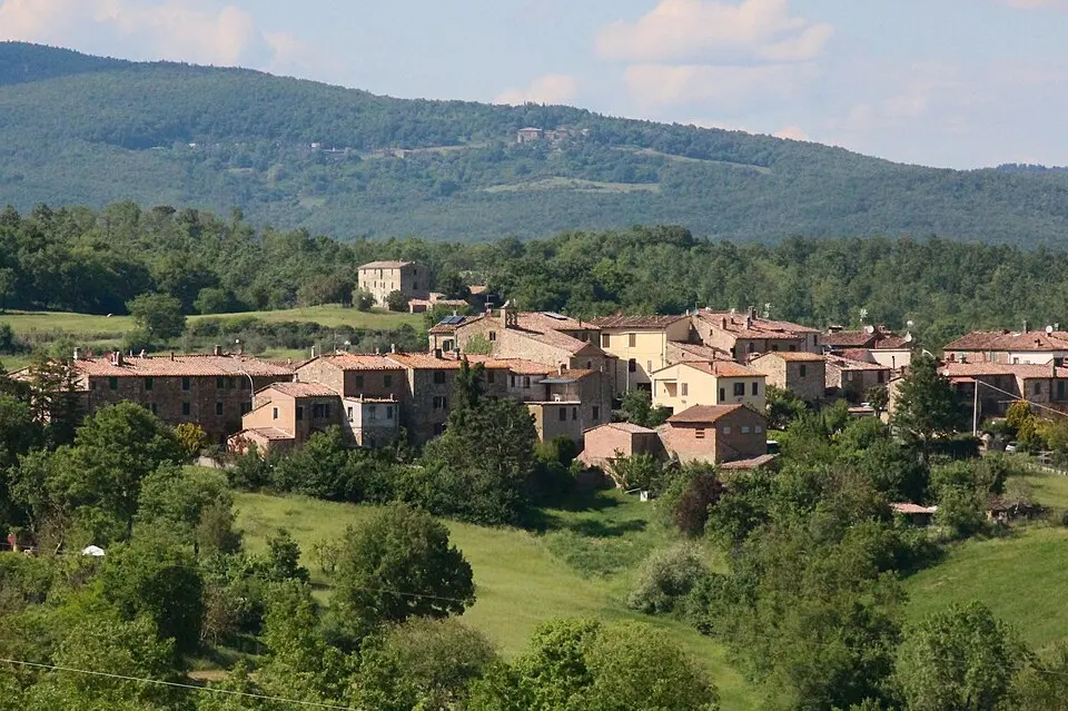 Frassini