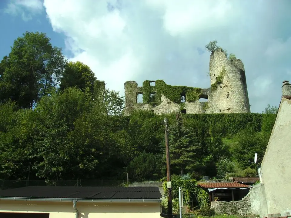 Image: EPei. · CC BY-SA 3.0 château de Frauenberg