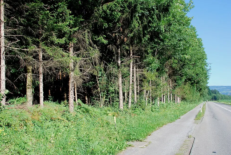 Grabhügel beim vlg. Höchkiegerl