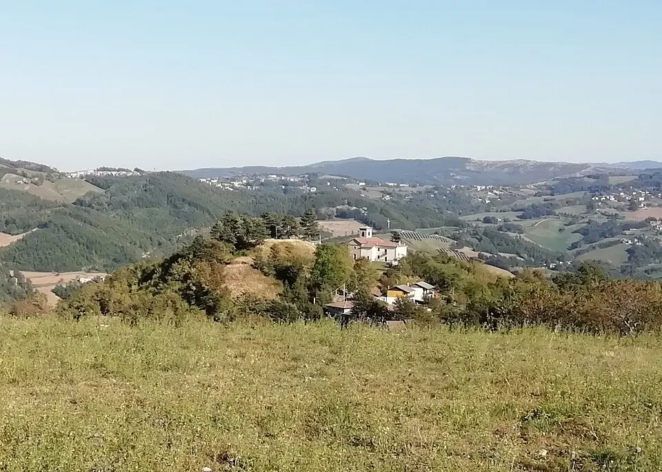 Cedrecchia