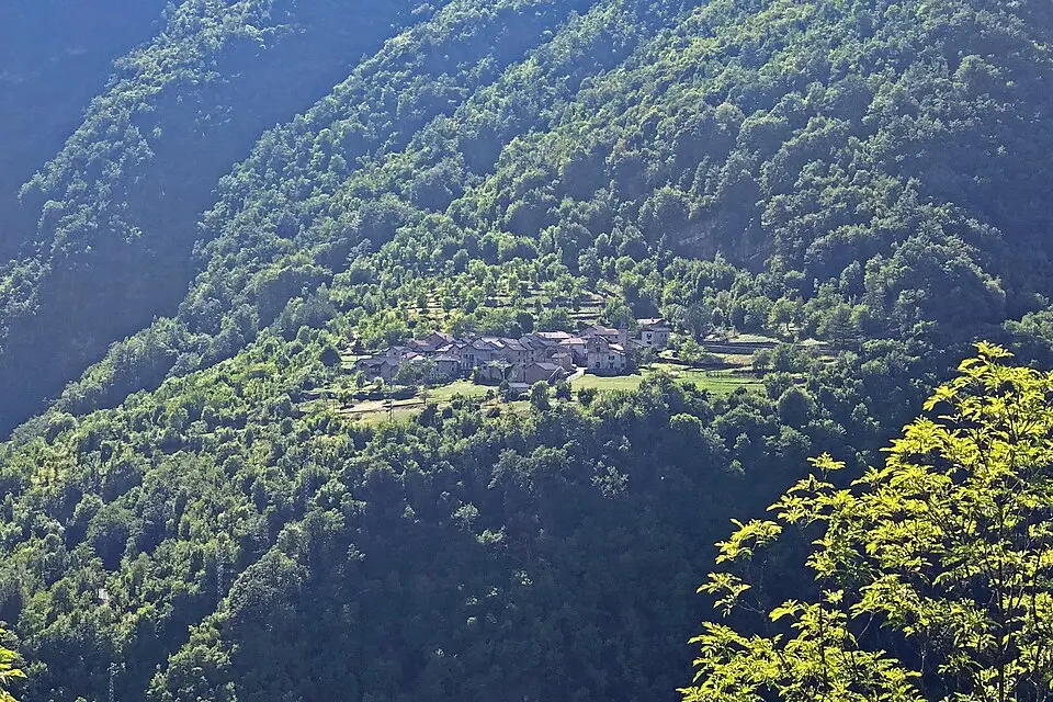 Tartago