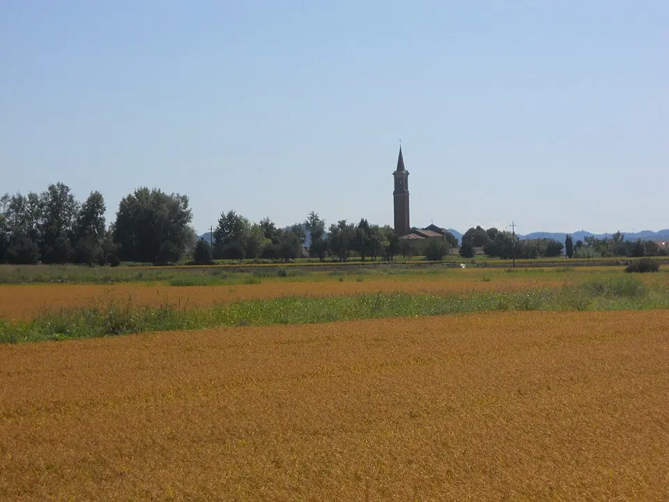 San Grisante