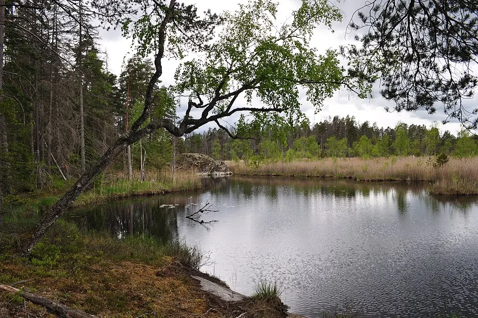 Fräkenkärret
