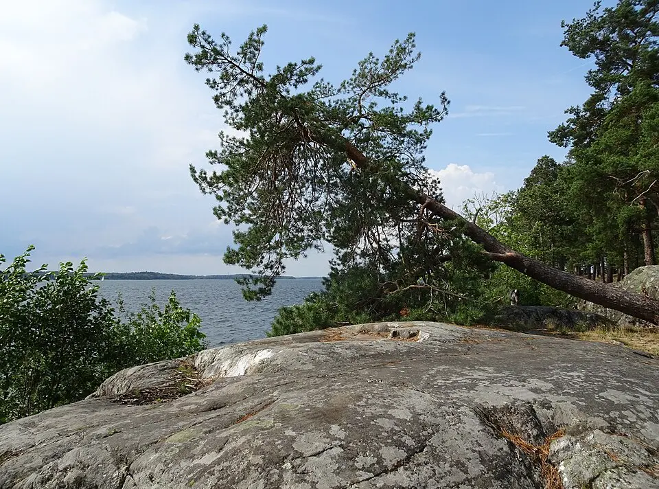 Frölunda naturreservat