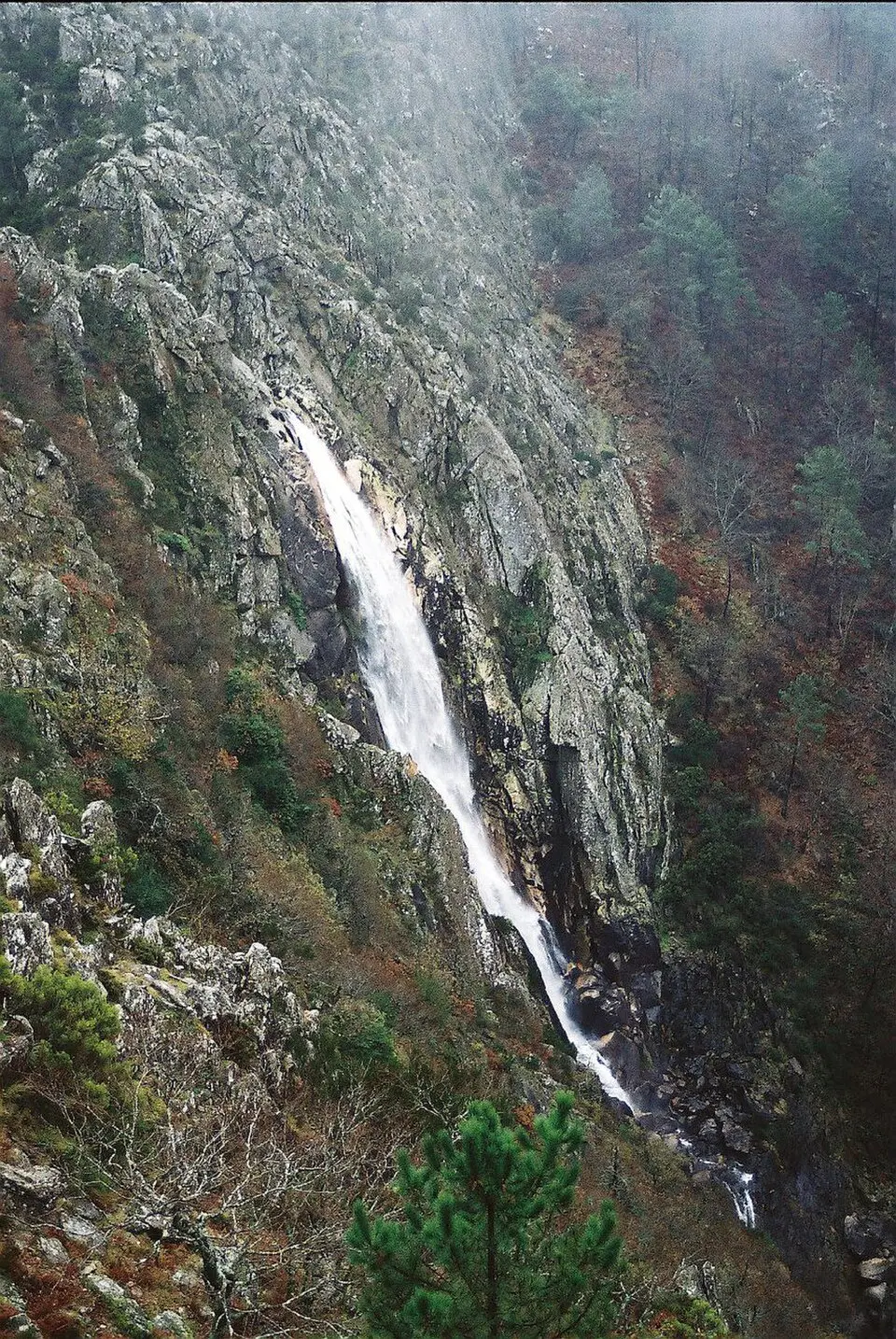 Rio Caima
