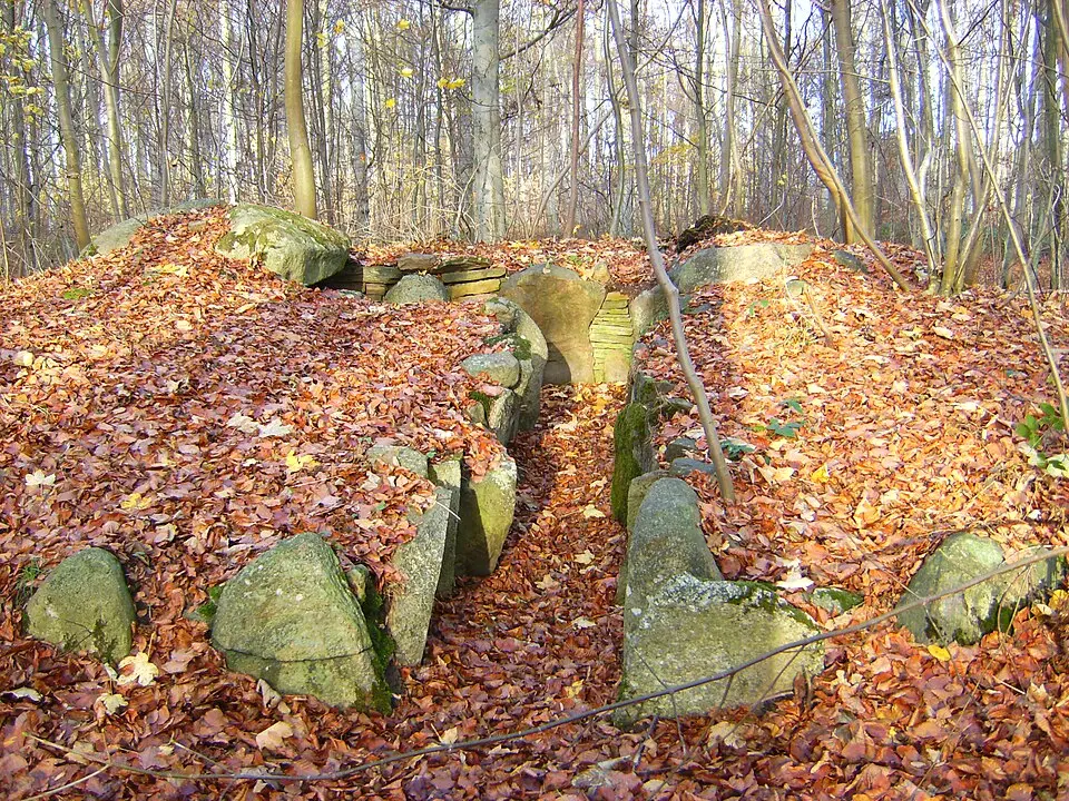 Frejlev Skov