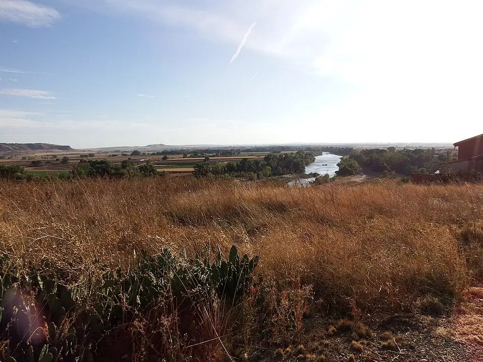 Fresno de la Ribera