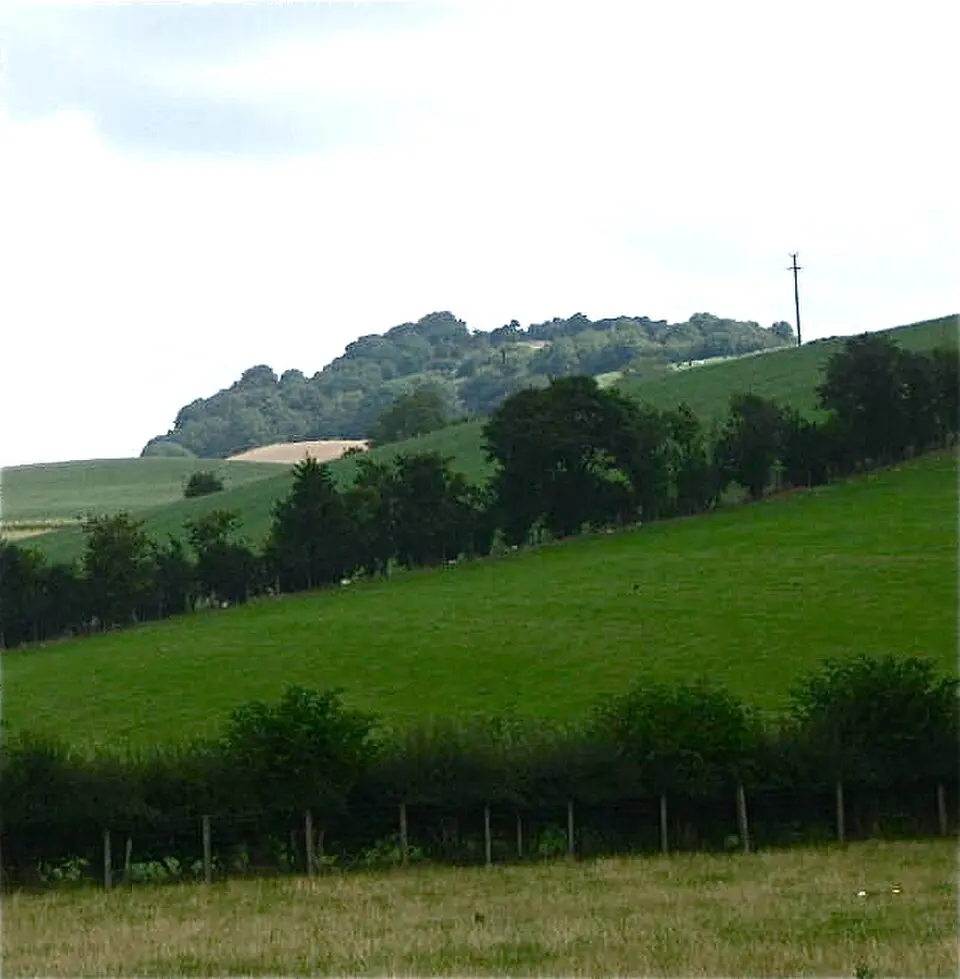 Ffridd Faldwyn, Montgomery