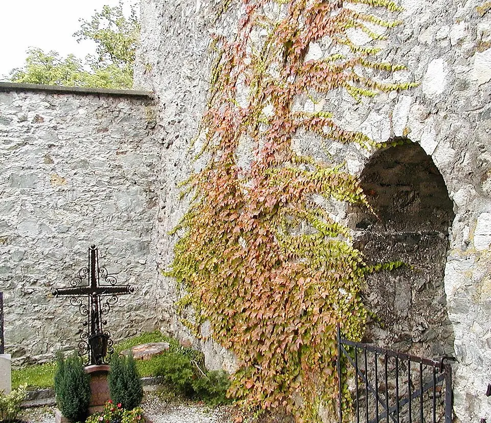 Stadtmauer