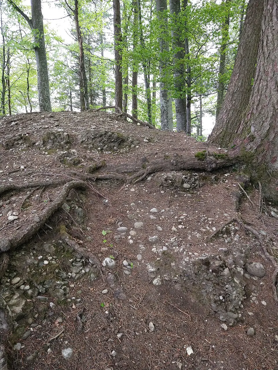 Burg Friesenberg