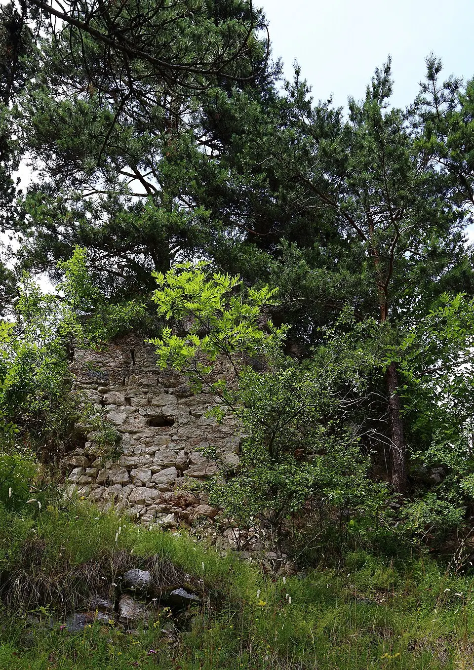 Ruine Frohnberg, Miesenbach