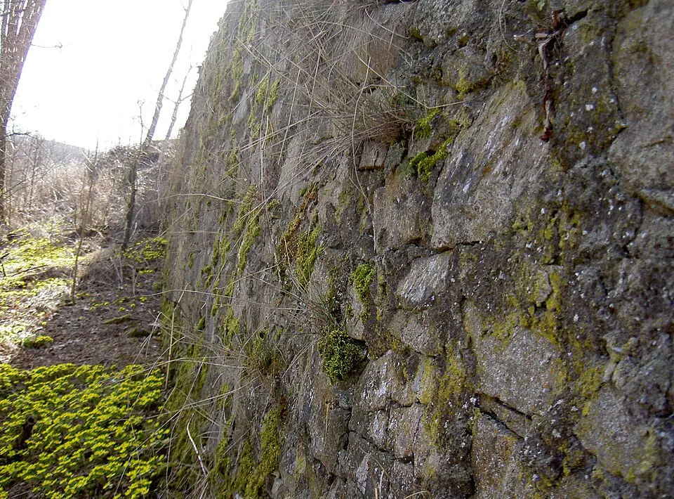 Ehemalige Burgbefestigung der Burg Fronhof