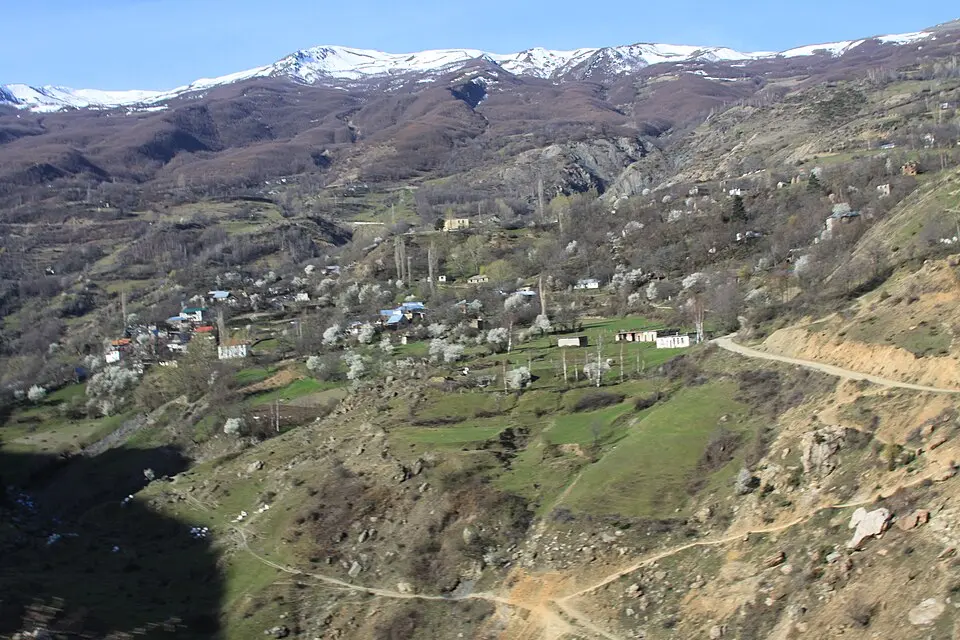 Njësia administrative Topojan