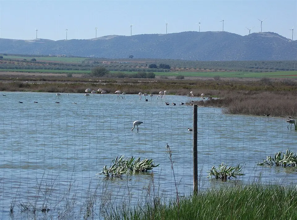Reserva natural Laguna de Fuente de Piedra
