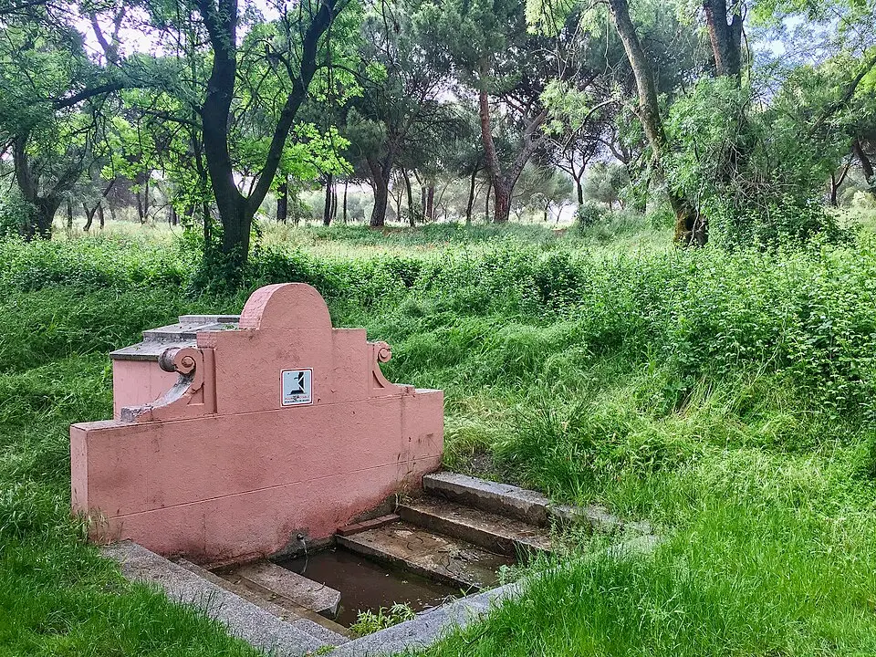 Fuente del Zarzón