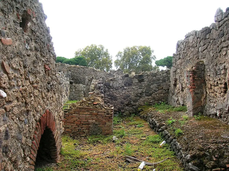 fullonica di Sestius Venustus (I.3.15)