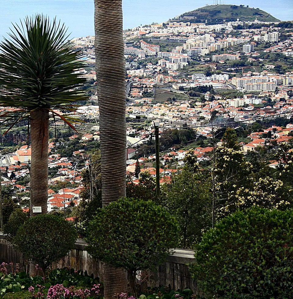 Monte (Funchal)