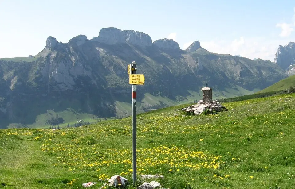 Hüser
