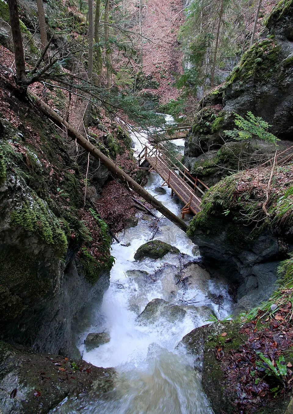 Steinwandklamm