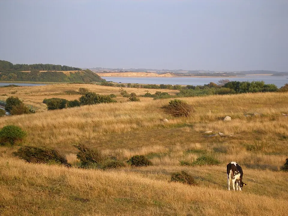 Hindsholm