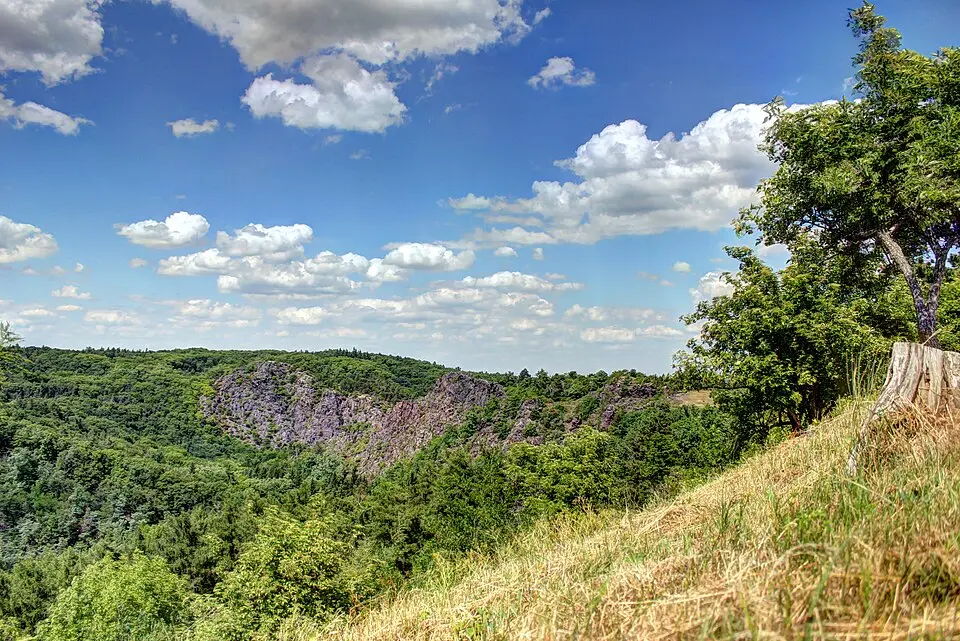 Divoká Šárka