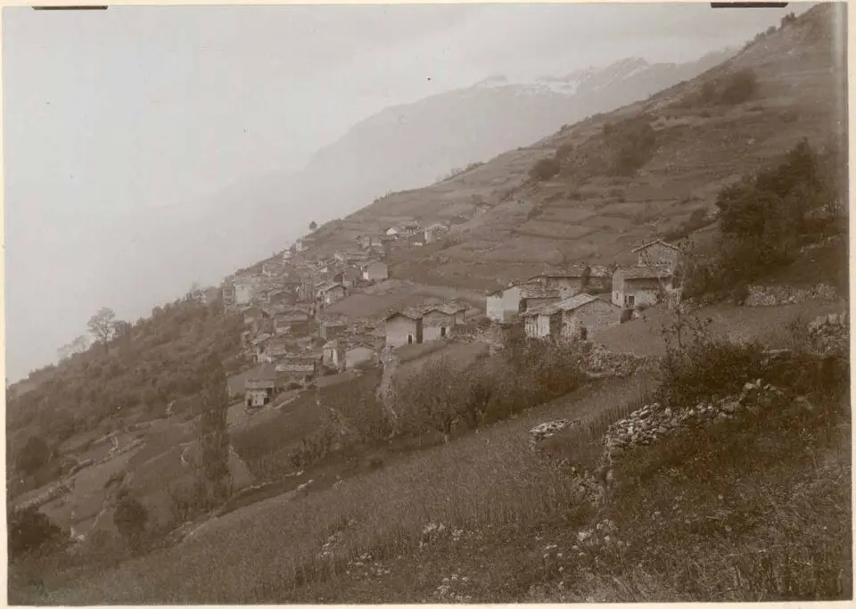 Maffiotto