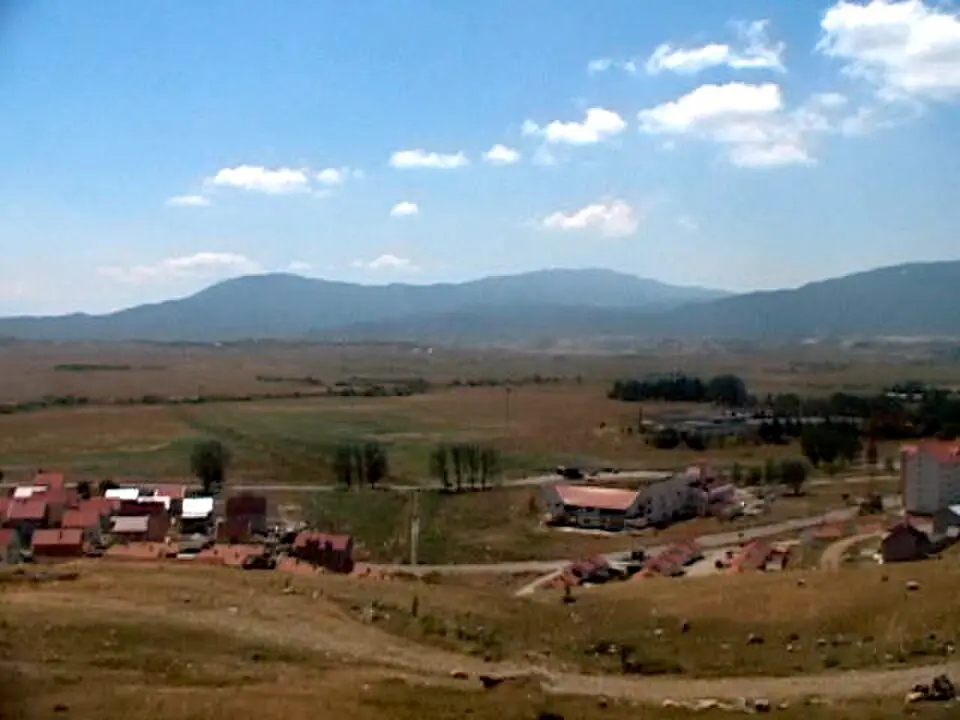 Gatačko polje