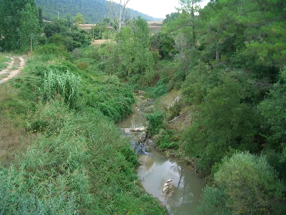 río Gayá