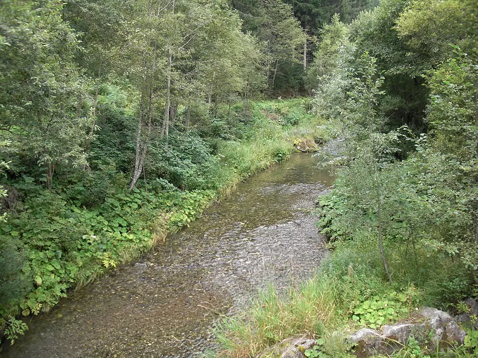 Gailbach
