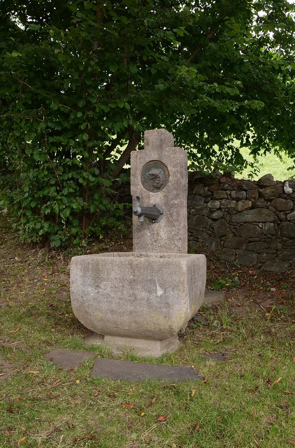 Laufbrunnen Gaimberg