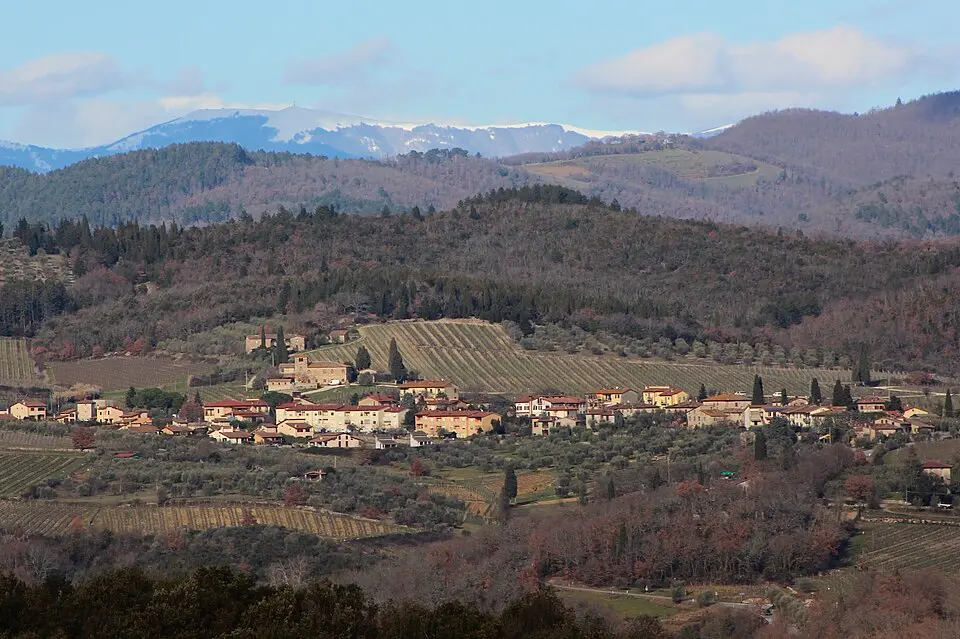 Monti