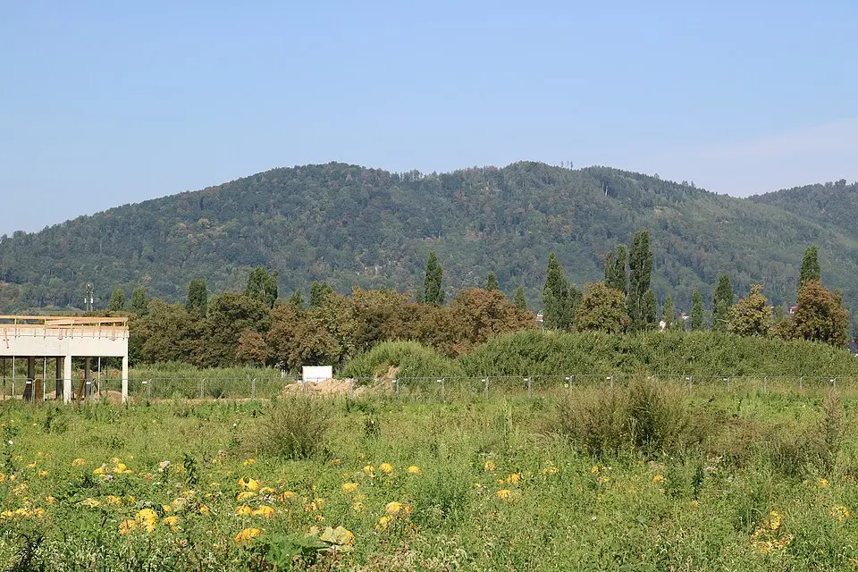 Gaisberg