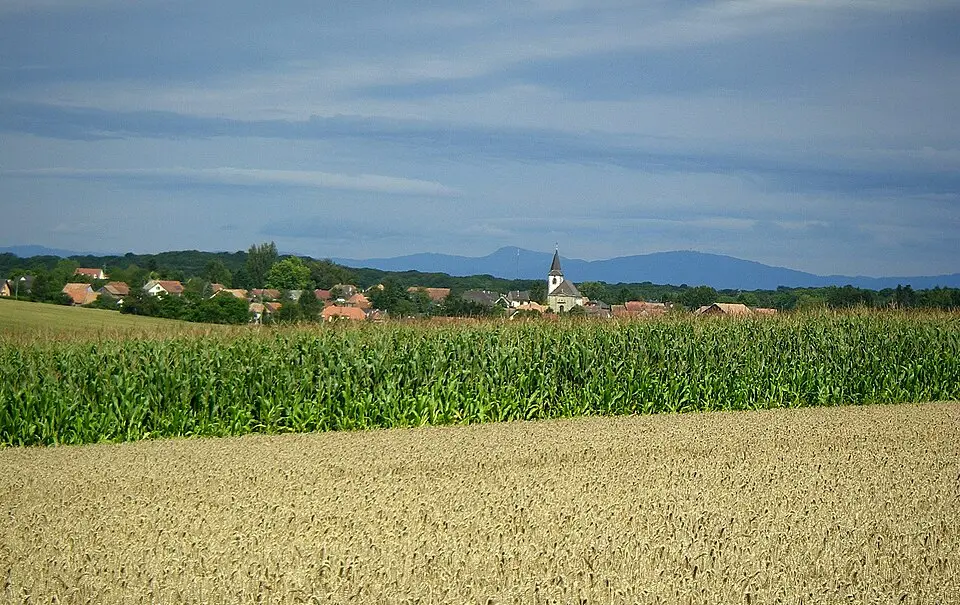Sundgau
