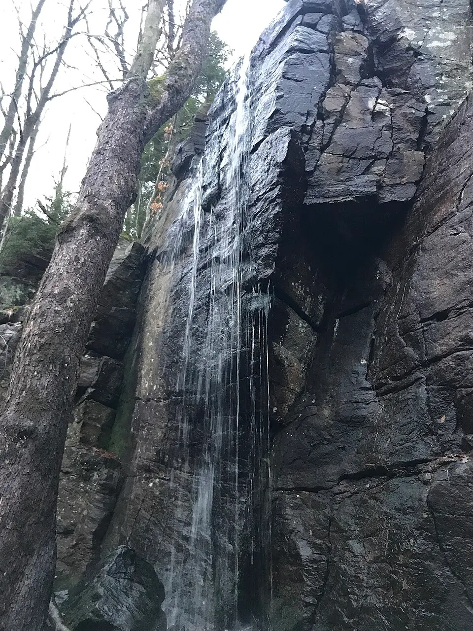 Gallhålans naturreservat