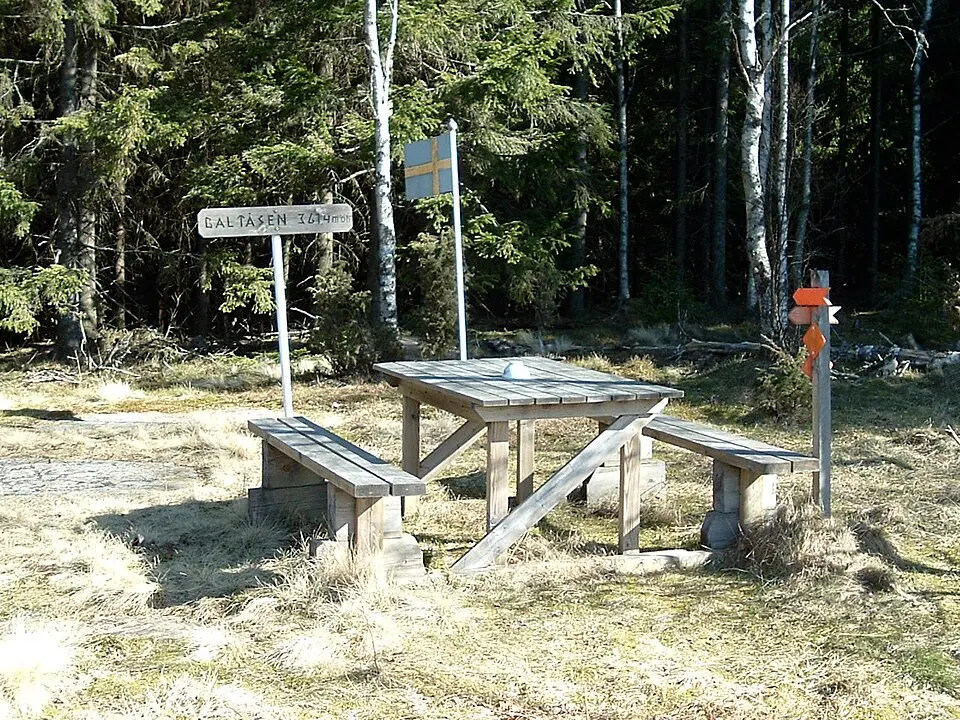 Galtåsen