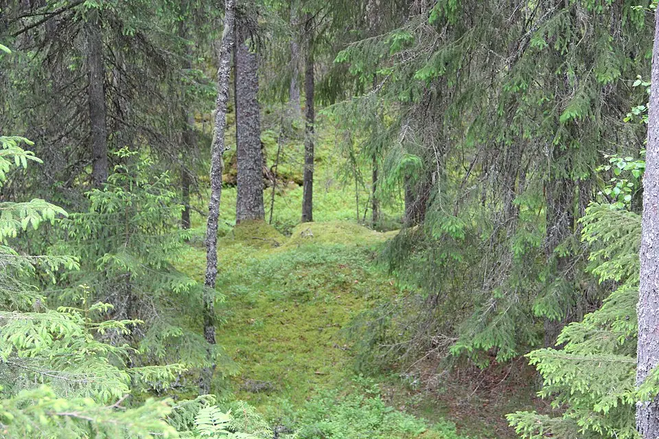Eggarna