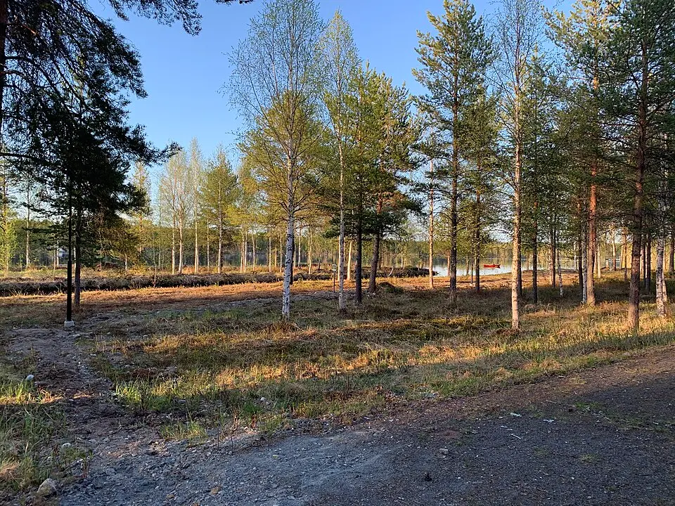 Gammplatsen Naturschutzgebiet