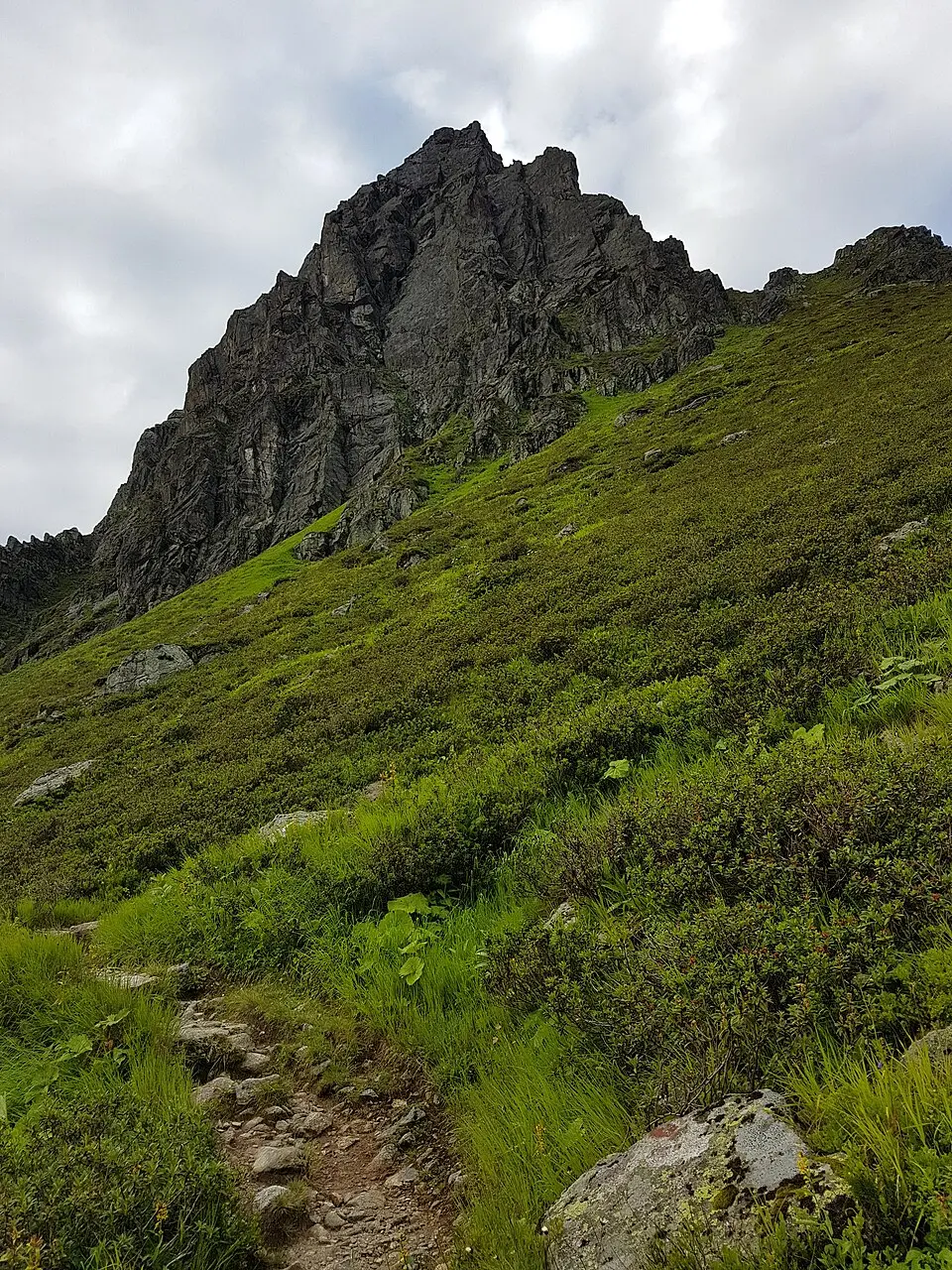 Schlappiner Spitze