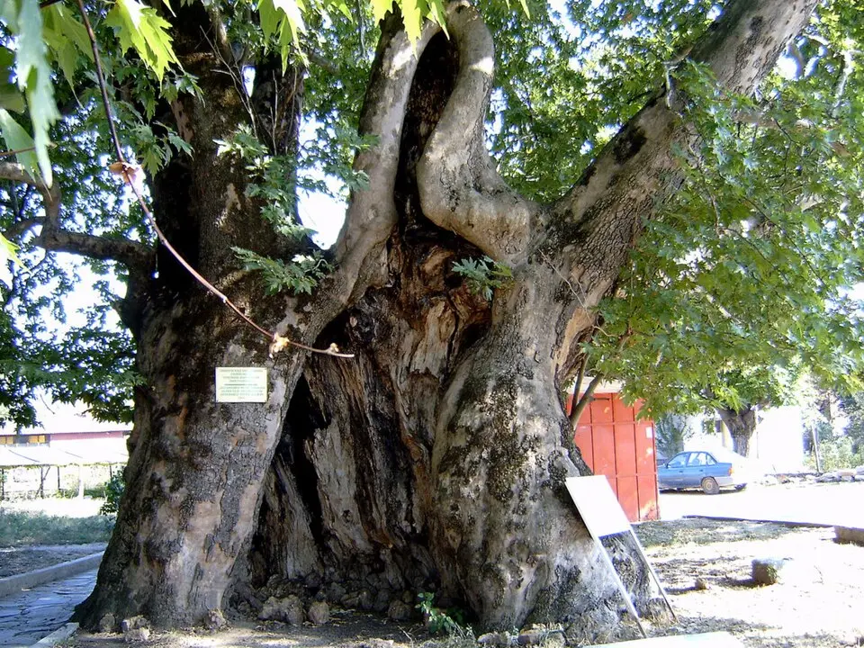 Gărmen (dedina)